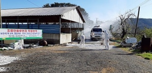 AI 확산 막는다…농식품부 5개 권역 일시이동중지