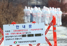 여주 가남읍 메추리농장 조류독감 발생...76만마리 예방 살처분