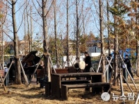 군산 중앙동 째보선창 도시재생사업 본궤도 올라