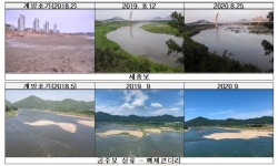 충남도 보 개방하자 금강이 돌아왔다