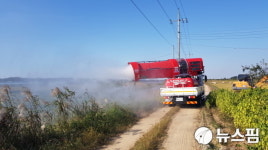 정읍 육용 오리농장서 AI 항원 검출