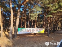 강릉 송정해변 소나무 숲 숙박시설 신축 계획에 주민 집단 반발