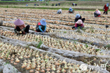 장수군 농산물 최저가격 보상...75농가 4억원 지원