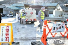 영암 오리농장 고병원성 AI 확진…반경 3㎞ 내 4곳 닭 살처분