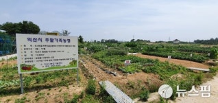익산시, 내달 3일부터 주말 가족농장 분양