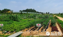 익산 주말가족농장 모집 큰 인기