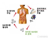 생명연, 백혈병 치료기술 인게니움테라퓨틱스에 기술이전