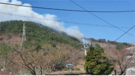 [종합] 삼척 가곡리 산불 진화…산림 0.5ha 소실