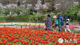 [포토스토리] 목포 삼학도의 봄…꽃에 취하고 봄에 반하다