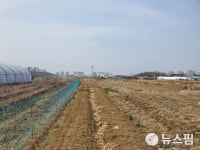 [르포] 정장 차림 외지인 몰려와 그린벨트도 마구 매입…김포 고촌, 투기꾼 쓸고 갔다