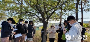 영덕 영해중학교 나무에 얽힌 이야기 신비롭고 재밌어요