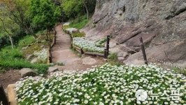 [포토스토리] 목포 유달산 둘레길 8경을 아십니까
