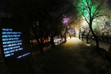 광명시 안양천 3.6km 산책로 구간 다양한 조명 설치