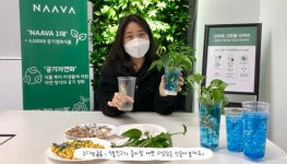 KB여의도어린이집, 반려식물 클래스 진행