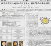 삶은 계란이 병아리 부화  권위지에 실린 교장 논문에 중국 사회 발칵