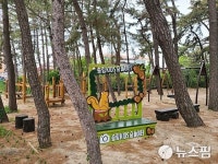 포항 송도 송림숲 세대융합형 숲놀이터 변신...어린이날 개장