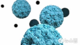 경북권 노로바이러스 검출 전년 比 급증