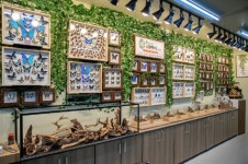 증평군 곤충산업 집중 투자...대표 먹거리 미래산업  육성