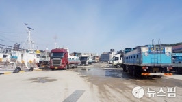 여름오징어군 어장형성...어업전진기지 죽변항 활기
