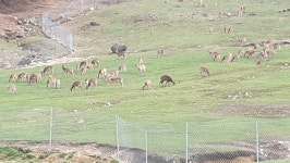 경남 고성군 천황산 농장 방목생태 축산농장 선정