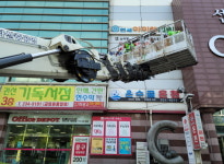 수원시, 여름철 풍수해 대비 옥외광고물·보호수 안전점검