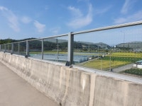 원주 서부순환도로 방음벽 조류 충돌 방지 테이프 부착