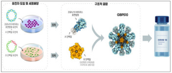 [종합] 식약처, SK바이오사이언스 코로나19 백신 첫 3상 승인