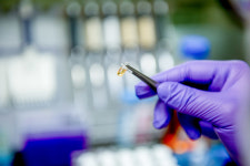 한국비엔씨 골든바이오텍과 코로나 치료 후보물질 안트로퀴노놀 대량생산 협의