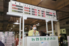 농산물도매시장 찾아 목소리 청취하는 허성무 창원시장