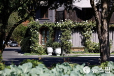 [사진] 캘리포니아 주지사 뉴섬이 찾은 욘트빌 레스토랑 프랜치 론드리