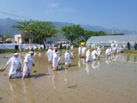 속초문화원, 23일 무형문화재 속초도문농요 공개 공연