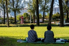 증평 보강천 미루나무숲 잔디밭 2년만에 개방