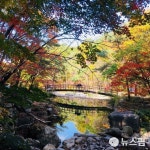 충북 기온 뚝 소백산 비로봉 영하 8도...국립공원·관광지 한산