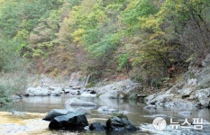 홍엽 준비하는 봉화 백천계곡
