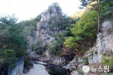 홍엽 준비하는 봉화 백천계곡