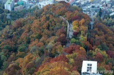 울긋불긋 물든 남산
