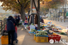 전주시 연말까지 불법 노점상·적치물 정비