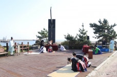 삼척시, 이사부장군 숭모제 봉행