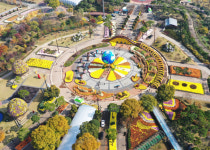 함평국향대전 안심여행 추천...낮에는 축제, 밤에는 영화 관람