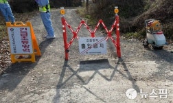 음성 육용오리 고병원성 AI 확진...충북도 닭 26만마리 정밀검사