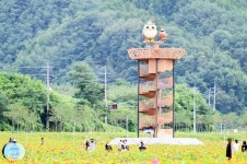Naver 搜索结果照片 1