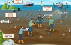 신안갯벌, 인공지능으로 낙지 자원관리 시작