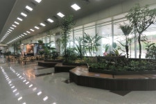 양양국제공항 대합실 녹색 실내정원으로 재탄생