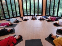 정남진 편백숲 우드랜드 산림체험 프로그램 내실화...시설물 확충