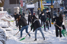 12cm 폭설 삼척시 공무원 900여명 제설작업 투입
