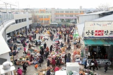 [포토에세이] 그래도 설은 쇠야 되잖니껴...안동 신시장 설 대목 활기