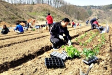 세종시 9일부터 주말농장 1000여 구획 분양 신청 접수