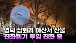 [영상] 영덕 삼화리 야산서 산불...진화헬기 14대 투입 진화 중