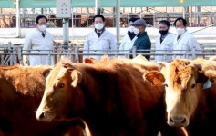 김영록 전남지사 쾌적한 환경 조성해 전남 한우 명성 잇자