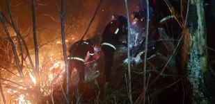 [종합] 안동 천전리 야간 산불 2시간10분만에 진화...인명피해 없어